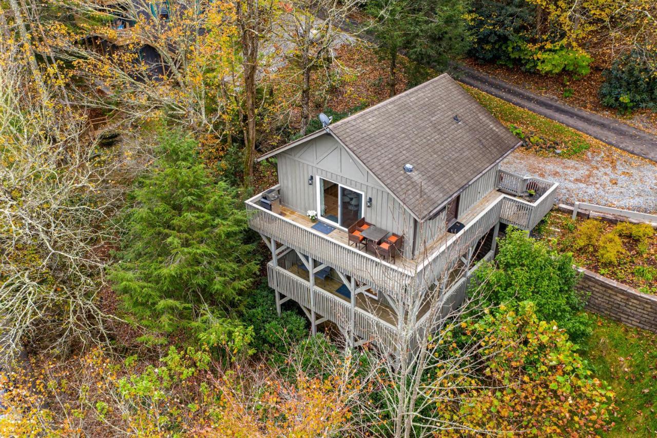 Mogul Road Cottage バナー・エルク エクステリア 写真